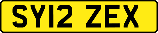SY12ZEX