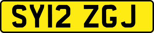SY12ZGJ
