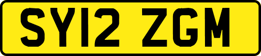 SY12ZGM