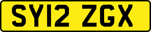SY12ZGX