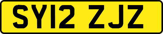 SY12ZJZ