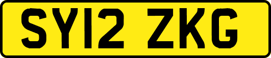 SY12ZKG