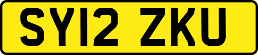 SY12ZKU