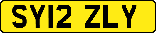 SY12ZLY