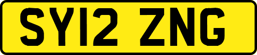 SY12ZNG