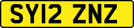 SY12ZNZ