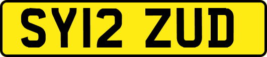 SY12ZUD