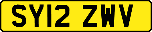 SY12ZWV