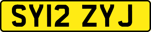 SY12ZYJ