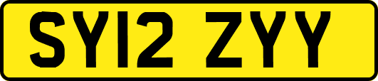 SY12ZYY