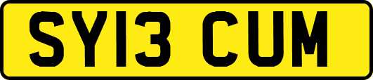 SY13CUM