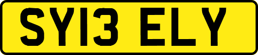 SY13ELY