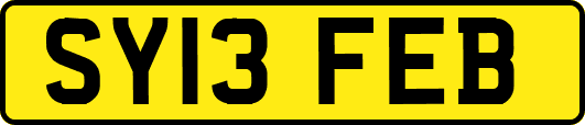 SY13FEB