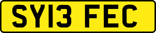 SY13FEC