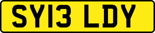 SY13LDY