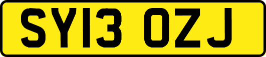 SY13OZJ