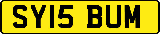 SY15BUM