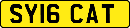 SY16CAT