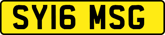 SY16MSG