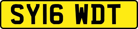 SY16WDT