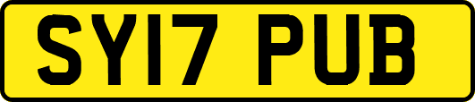 SY17PUB