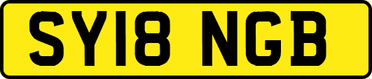 SY18NGB