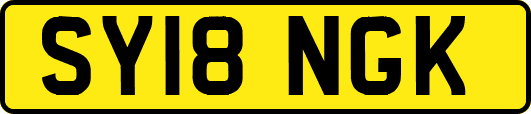 SY18NGK