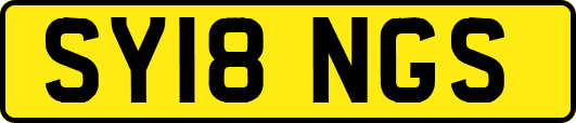 SY18NGS