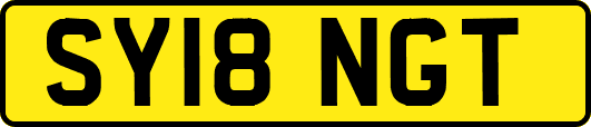 SY18NGT