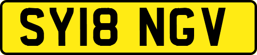 SY18NGV
