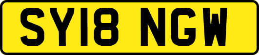 SY18NGW
