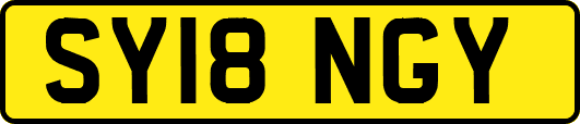SY18NGY
