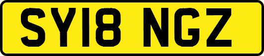 SY18NGZ
