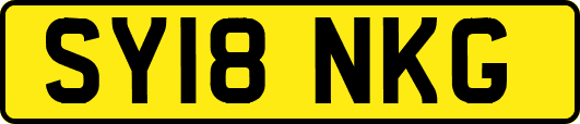 SY18NKG