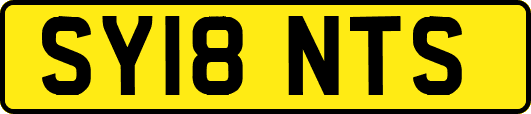 SY18NTS