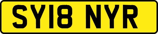 SY18NYR