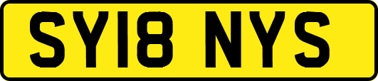 SY18NYS