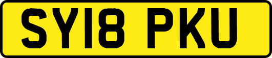 SY18PKU