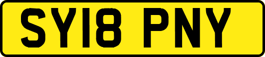 SY18PNY