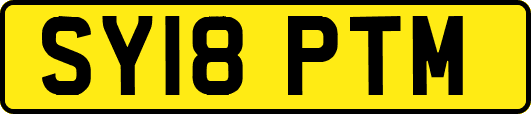 SY18PTM