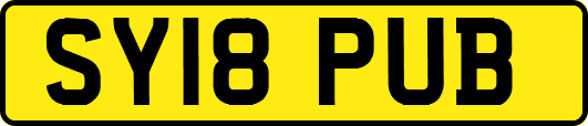 SY18PUB