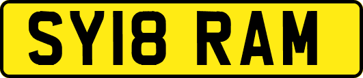 SY18RAM
