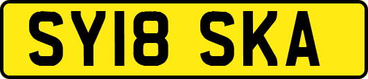 SY18SKA