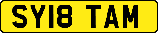 SY18TAM