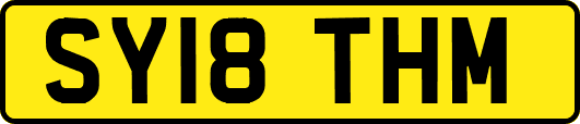 SY18THM