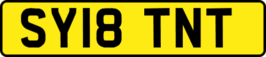 SY18TNT