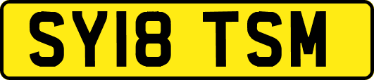 SY18TSM