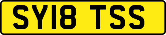 SY18TSS