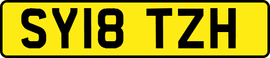 SY18TZH