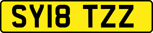 SY18TZZ